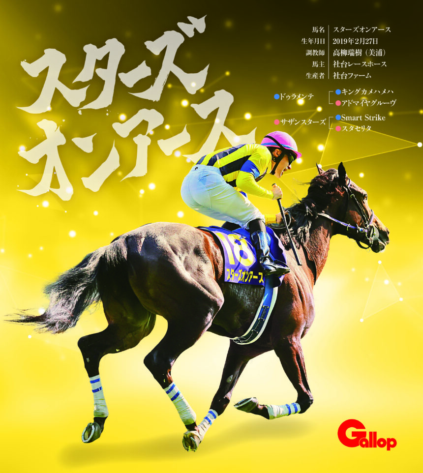スターズオンアース｜名馬全史色紙コレクション Vol.2｜ノーマル色紙