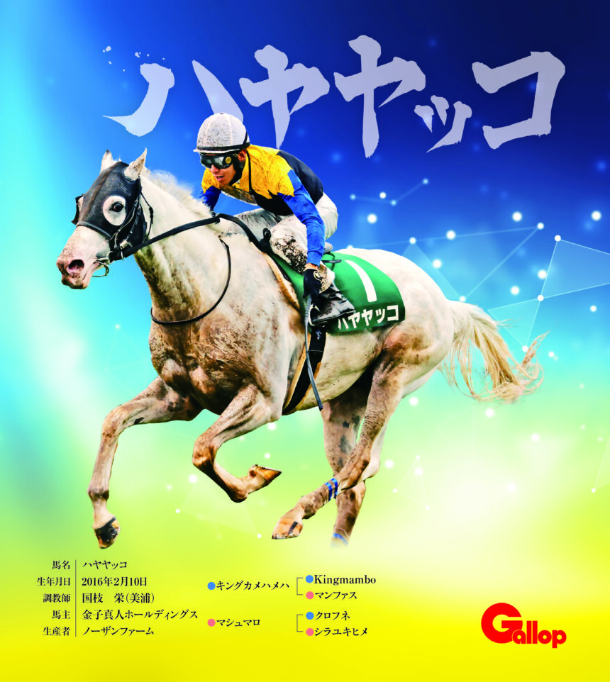 ハヤヤッコ｜名馬全史色紙コレクション Vol.2｜ノーマル色紙