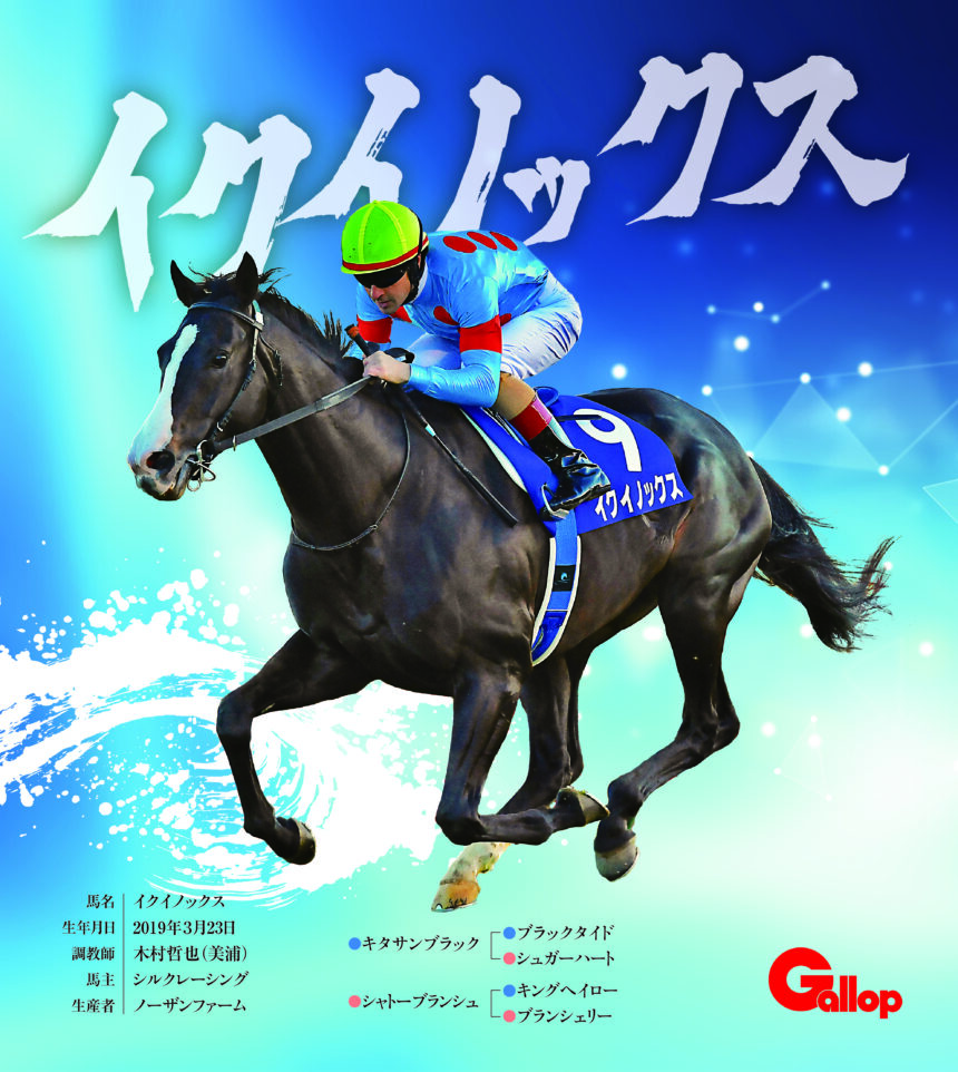 イクイノックス｜名馬全史色紙コレクション Vol.3｜ノーマル色紙