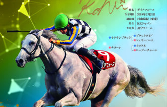 ガイアフォース｜名馬全史色紙コレクション Vol.3｜スペシャル色紙