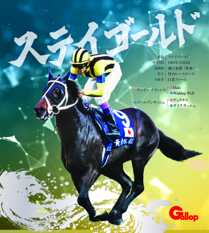 ステイゴールド｜名馬全史色紙コレクション Vol.3｜ノーマル色紙