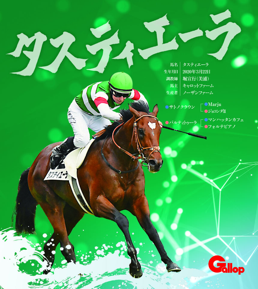 タスティエーラ｜名馬全史色紙コレクション Vol.3｜ノーマル色紙
