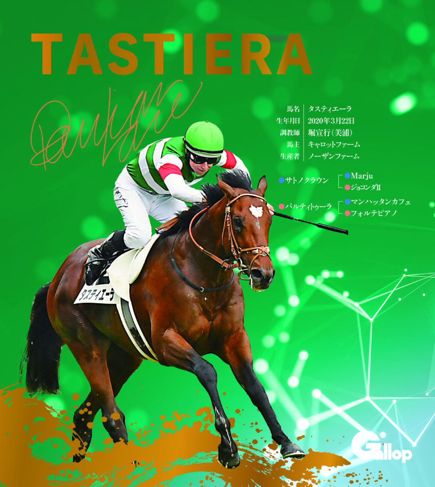 タスティエーラ｜名馬全史色紙コレクション Vol.3｜スペシャル色紙