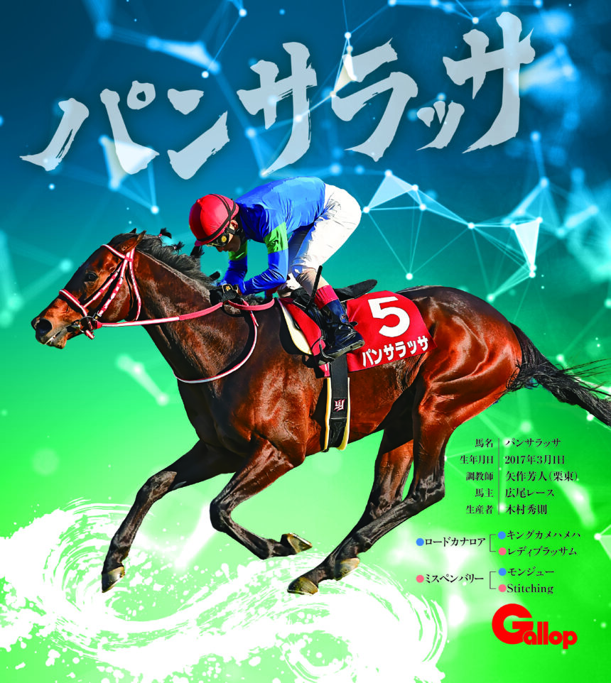 パンサラッサ｜名馬全史色紙コレクション Vol.3｜ノーマル色紙