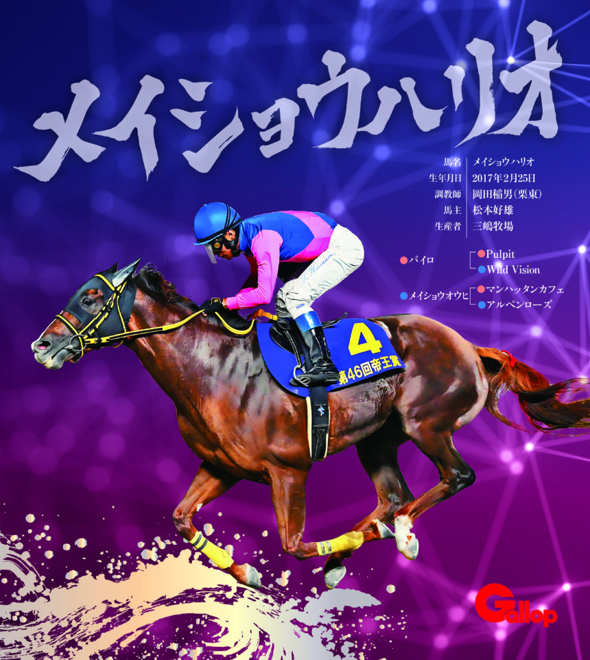 メイショウハリオ｜名馬全史色紙コレクション Vol.3｜ノーマル色紙