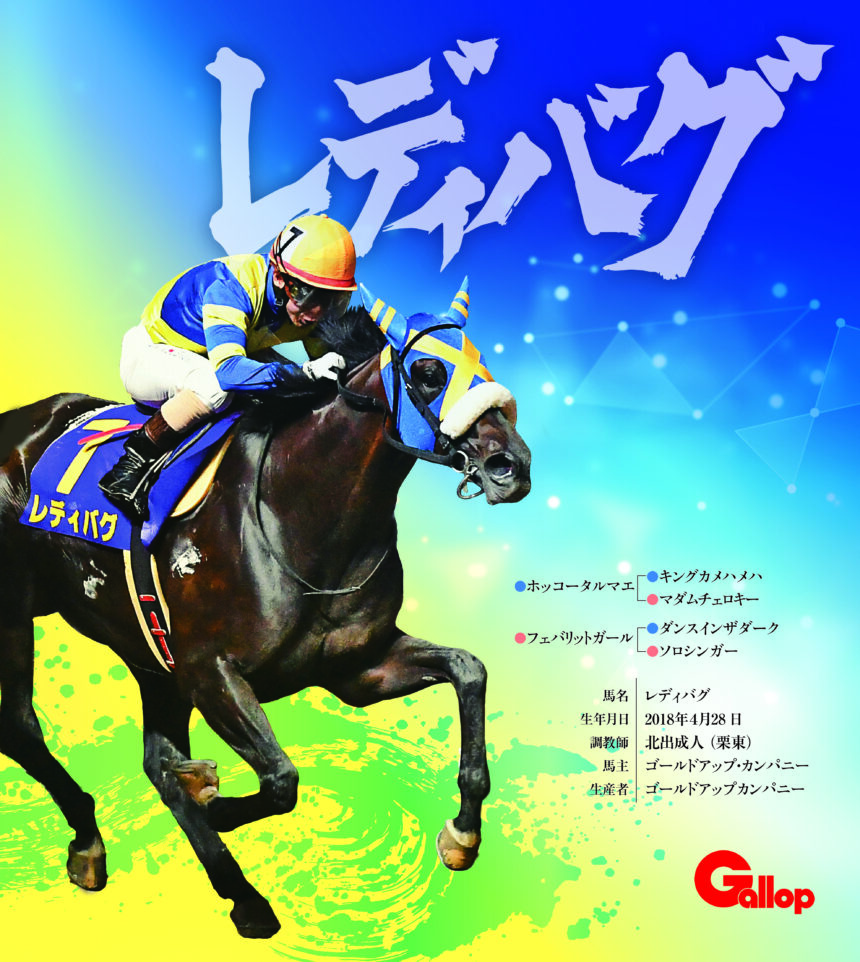 レディバグ｜名馬全史色紙コレクション Vol.3｜ノーマル色紙