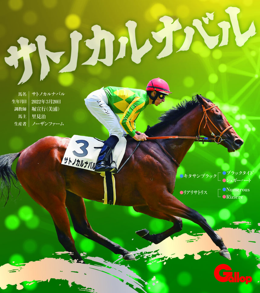 サトノカルナバル｜名馬全史色紙コレクション Vol.4｜ノーマル色紙