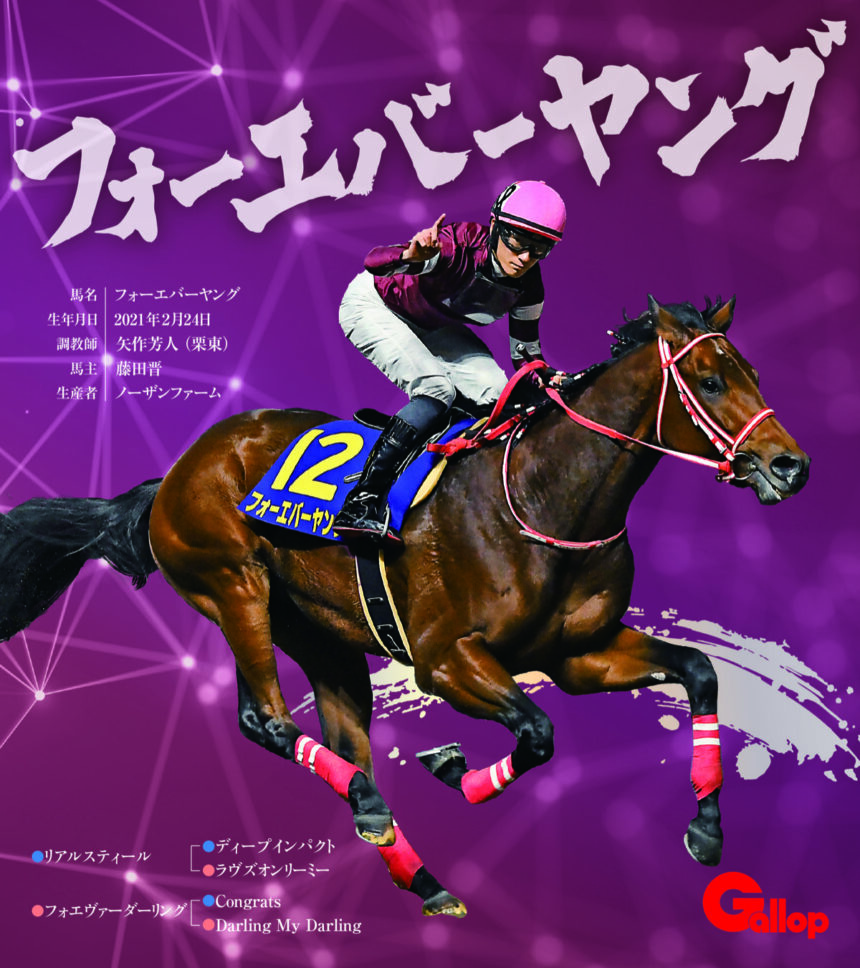 フォーエバーヤング｜名馬全史色紙コレクション Vol.4｜ノーマル色紙