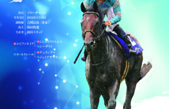 ブローザホーン｜名馬全史色紙コレクション Vol.4｜ノーマル色紙