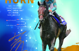 ブローザホーン｜名馬全史色紙コレクション Vol.4｜スペシャル色紙