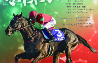 マイネルグロン｜名馬全史色紙コレクション Vol.4｜ノーマル色紙