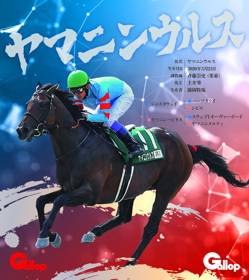 ヤマニンウルス｜名馬全史色紙コレクション Vol.4｜ノーマル色紙