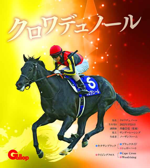 クロワデュノール｜名馬全史色紙コレクション Vol.5｜ノーマル色紙