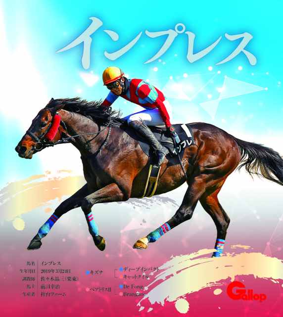 インプレス｜名馬全史色紙コレクション Vol.5｜ノーマル色紙