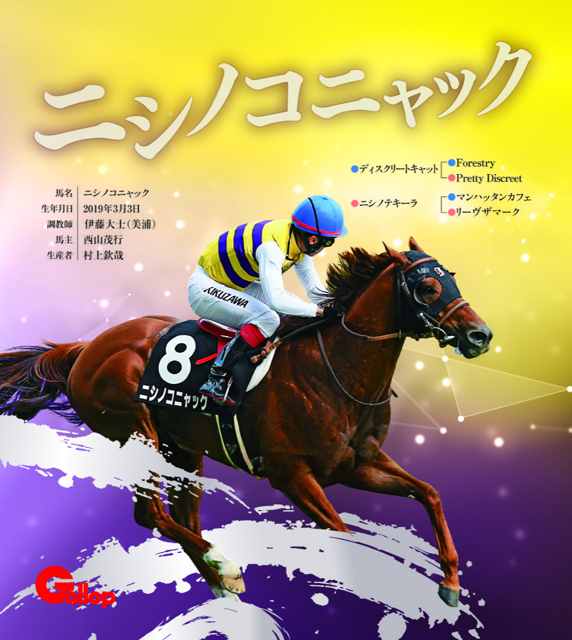 ニシノコニャック｜名馬全史色紙コレクション Vol.5｜ノーマル色紙