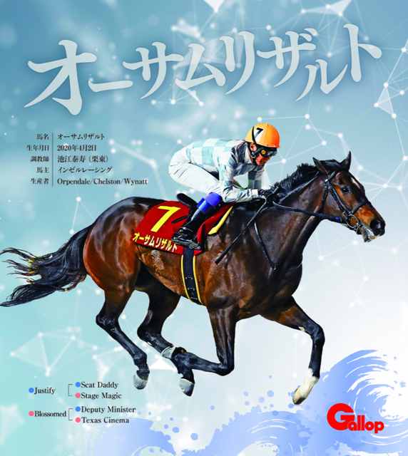 オーサムリザルト｜名馬全史色紙コレクション Vol.5｜ノーマル色紙