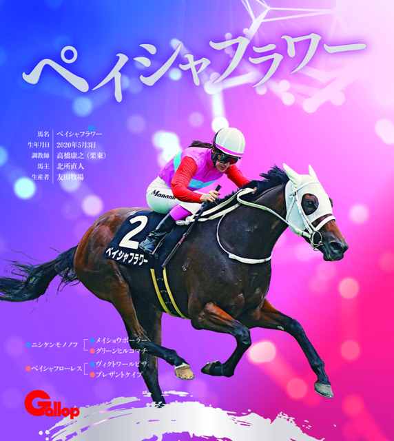 ペイシャフラワー｜名馬全史色紙コレクション Vol.5｜ノーマル色紙