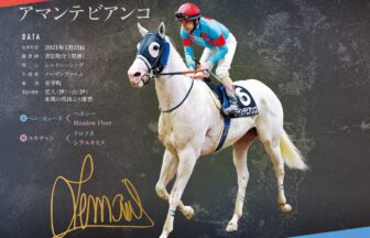 アマンテビアンコ｜白毛馬一族色紙コレクション｜ノーマル色紙
