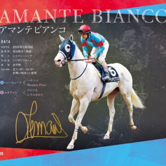 アマンテビアンコ｜白毛馬一族色紙コレクション｜ノーマル色紙