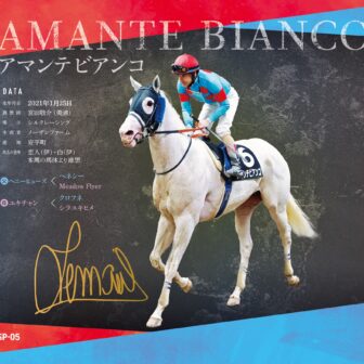 アマンテビアンコ｜白毛馬一族色紙コレクション｜スペシャル色紙