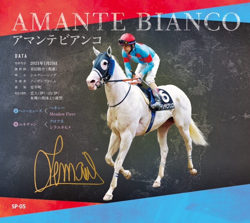 アマンテビアンコ｜白毛馬一族色紙コレクション｜スペシャル色紙