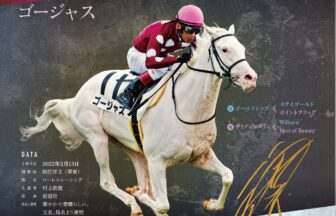 ゴージャス｜白毛馬一族色紙コレクション｜ノーマル色紙