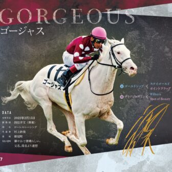 ゴージャス｜白毛馬一族色紙コレクション｜ノーマル色紙