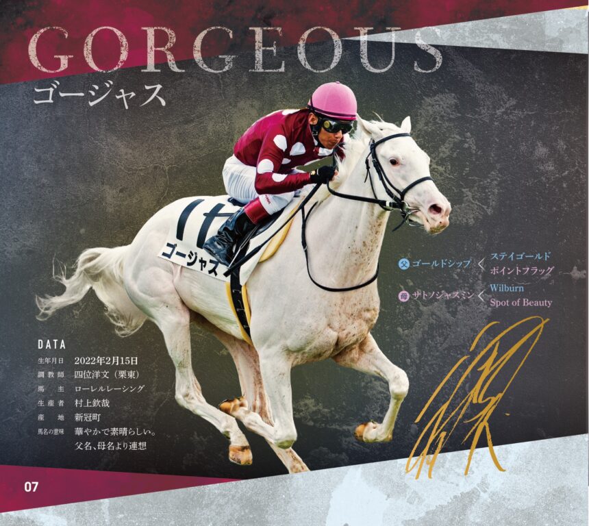 ゴージャス｜白毛馬一族色紙コレクション｜ノーマル色紙