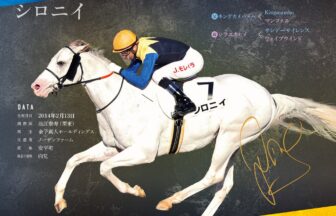 シロニイ｜白毛馬一族色紙コレクション｜ノーマル色紙