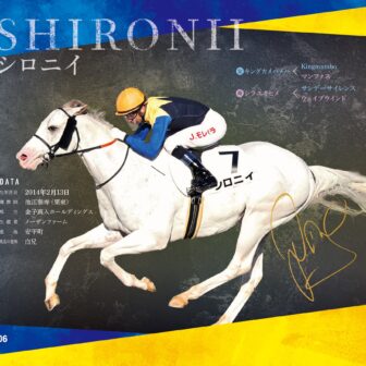 シロニイ｜白毛馬一族色紙コレクション｜ノーマル色紙