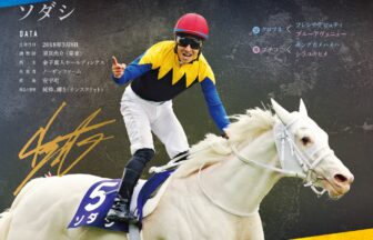 ソダシ｜白毛馬一族色紙コレクション｜ノーマル色紙