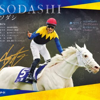 ソダシ｜白毛馬一族色紙コレクション｜スペシャル色紙