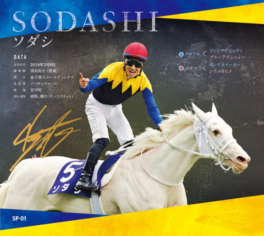 ソダシ｜白毛馬一族色紙コレクション｜スペシャル色紙