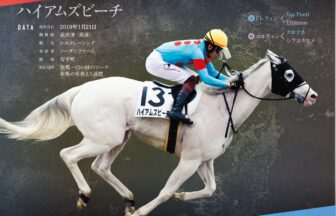ハイアムズビーチ｜白毛馬一族色紙コレクション｜ノーマル色紙