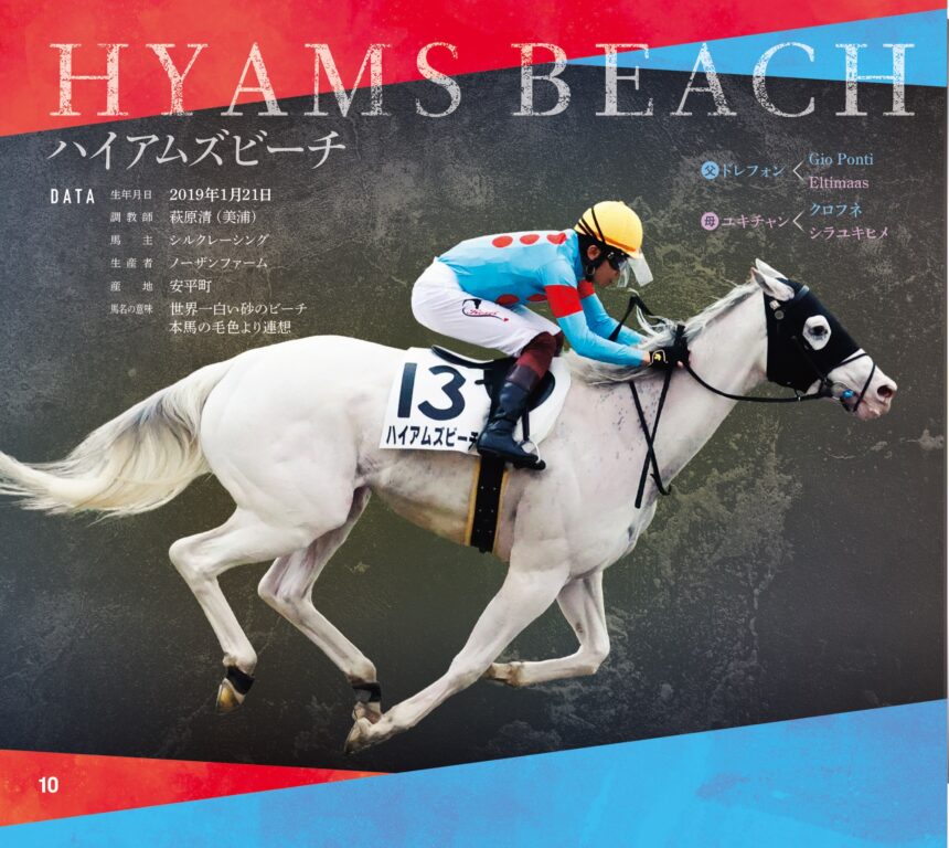 ハイアムズビーチ｜白毛馬一族色紙コレクション｜ノーマル色紙