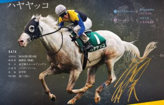 ハヤヤッコ｜白毛馬一族色紙コレクション｜ノーマル色紙