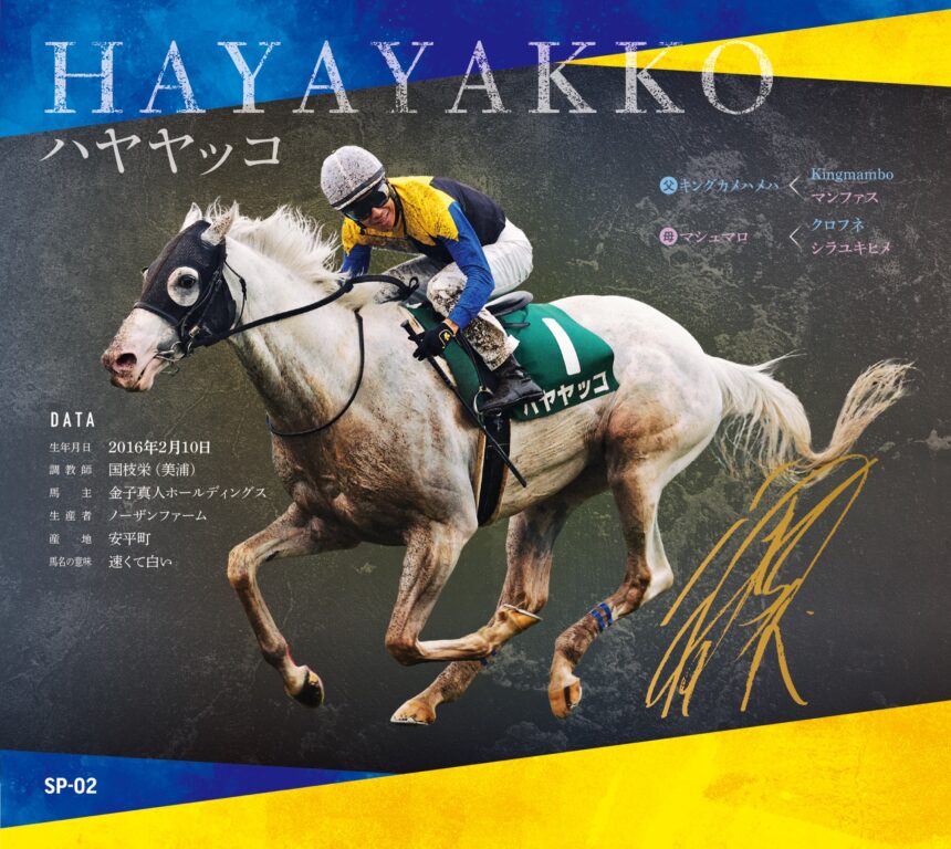 ハヤヤッコ｜白毛馬一族色紙コレクション｜スペシャル色紙