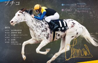 ブチコ｜白毛馬一族色紙コレクション｜ノーマル色紙