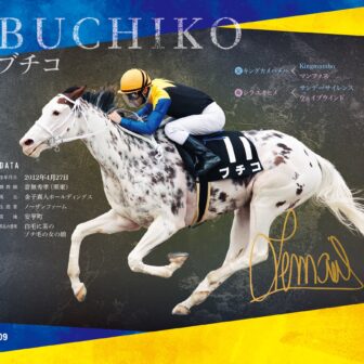ブチコ｜白毛馬一族色紙コレクション｜ノーマル色紙