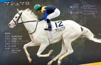 マシュマロ｜白毛馬一族色紙コレクション｜ノーマル色紙