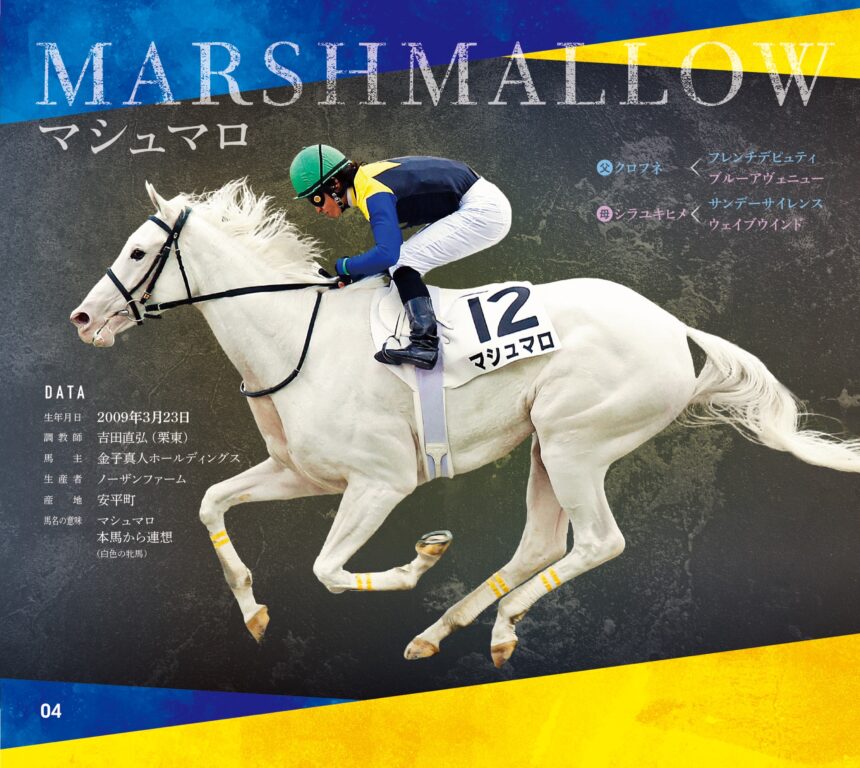 マシュマロ｜白毛馬一族色紙コレクション｜ノーマル色紙