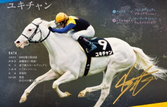 ユキチャン｜白毛馬一族色紙コレクション｜ノーマル色紙