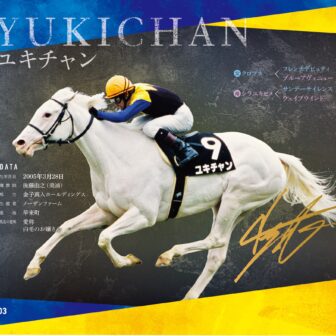 ユキチャン｜白毛馬一族色紙コレクション｜ノーマル色紙