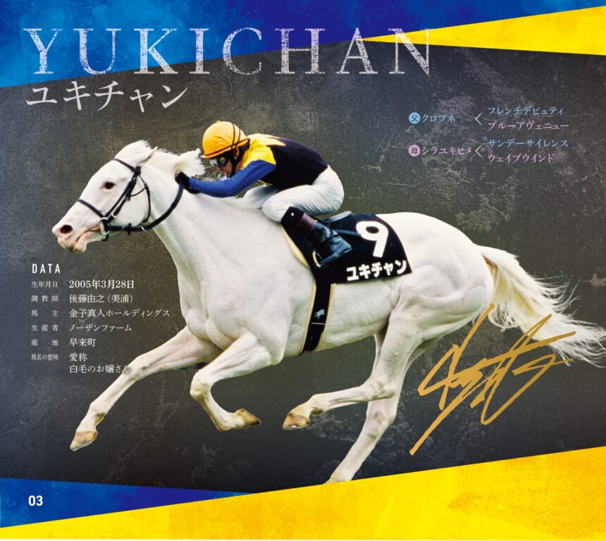 ユキチャン｜白毛馬一族色紙コレクション｜ノーマル色紙