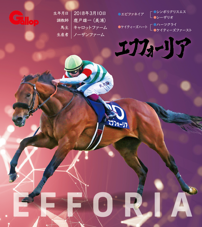 エフフォーリア｜名馬全史色紙コレクション Vol.1｜ノーマル色紙