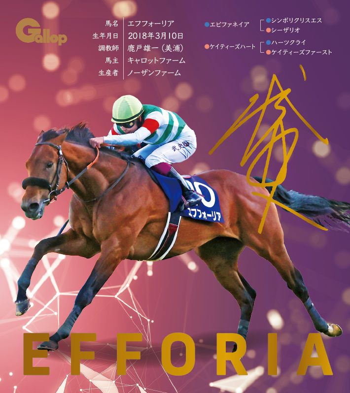 エフフォーリア｜名馬全史色紙コレクション Vol.1｜スペシャル色紙