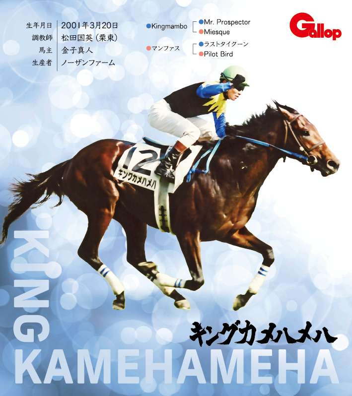 キングカメハメハ｜名馬全史色紙コレクション Vol.1｜ノーマル色紙