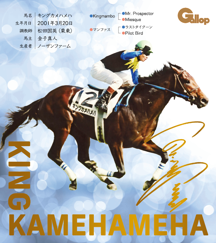 キングカメハメハ｜名馬全史色紙コレクション Vol.1｜スペシャル色紙