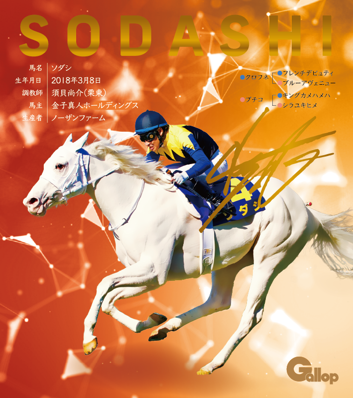 ソダシ｜名馬全史色紙コレクション Vol.1｜スペシャル色紙