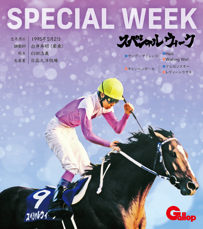 スペシャルウィーク｜名馬全史色紙コレクション Vol.1｜スペシャル色紙